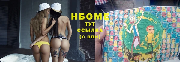 прущий лед Арсеньев