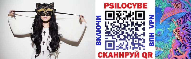 Псилоцибиновые грибы мухоморы  купить наркотики сайты  Закаменск 