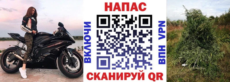 Бошки марихуана MAZAR  omg зеркало  Закаменск 